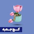 *کج جعبه*  لگو گلدان گل آئونیوم مِس