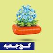 *کج جعبه*  لگو گلدان گل برفی (گل یخ)