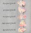 گیره سر انبری یونیکورن