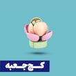 *کج‌جعبه* لگو گلدان گل رز شادابی هلویی