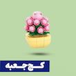 *کج‌جعبه* لگو گلدان گل کاکتوس مرواریدی