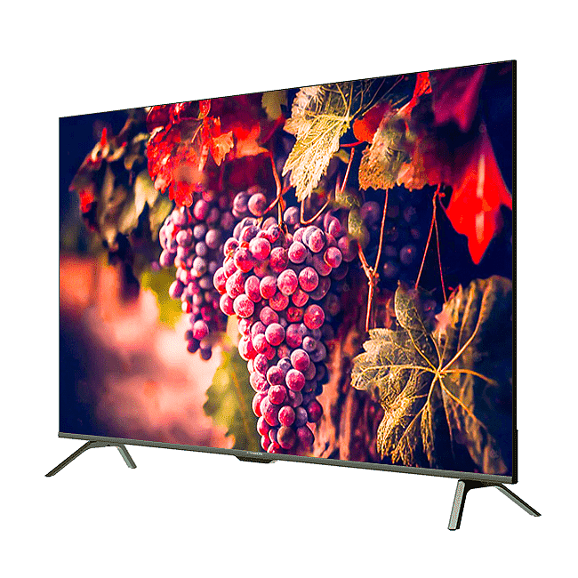  تلویزیون ایکس ویژن مدل 55XYU755