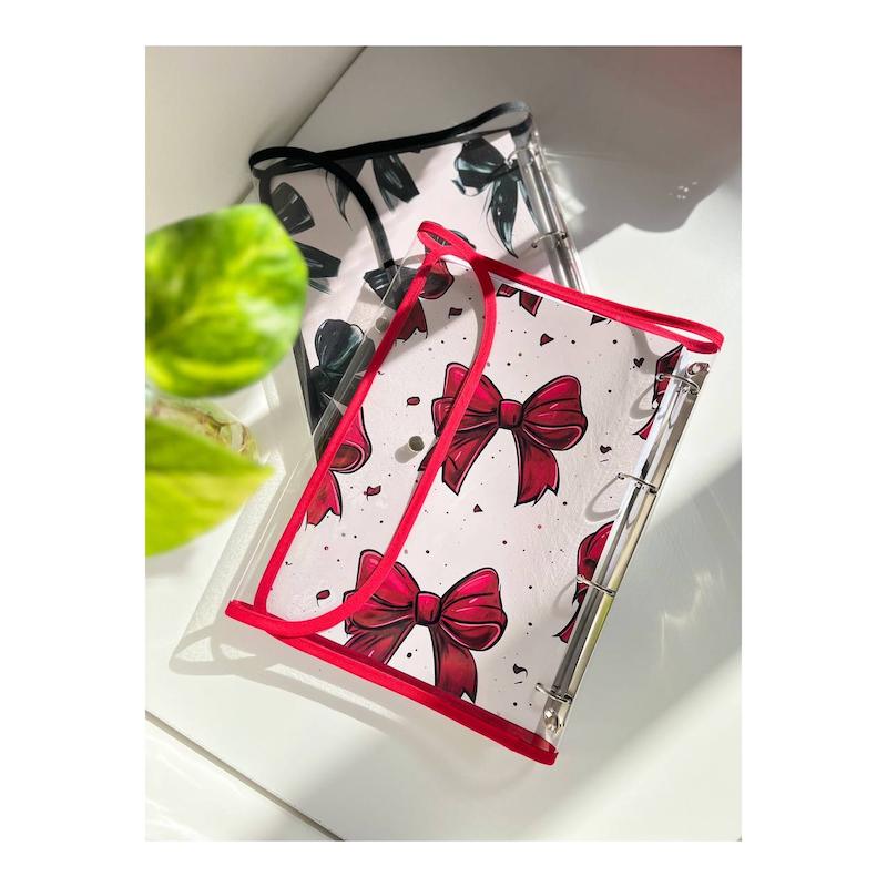 کلاسور شفاف