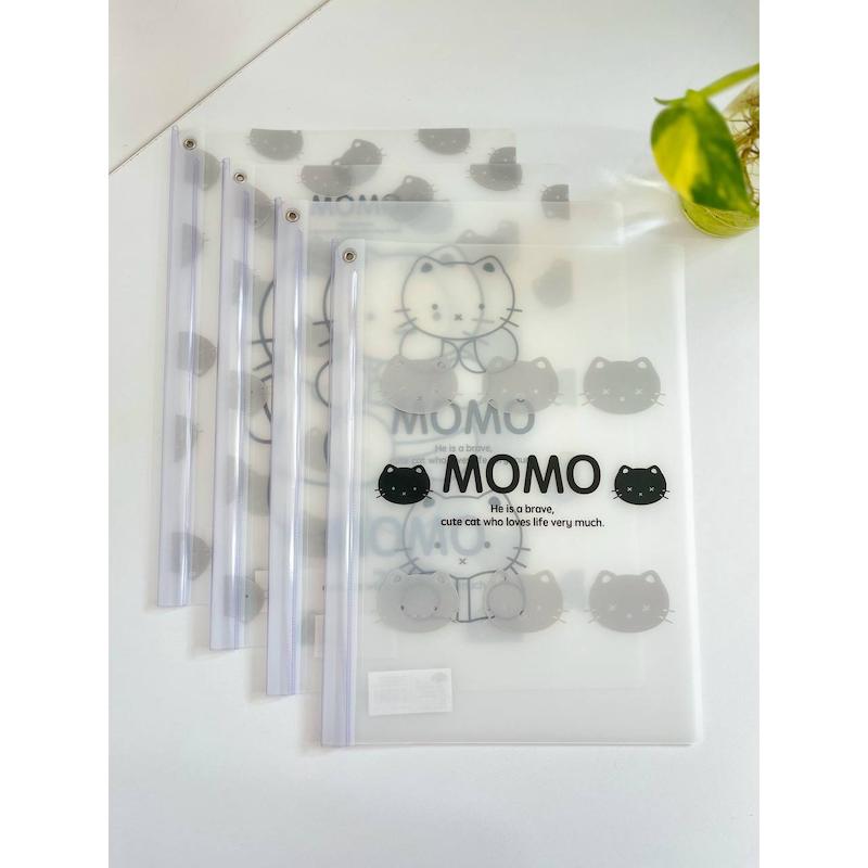 طلق و شیرازه پیشی