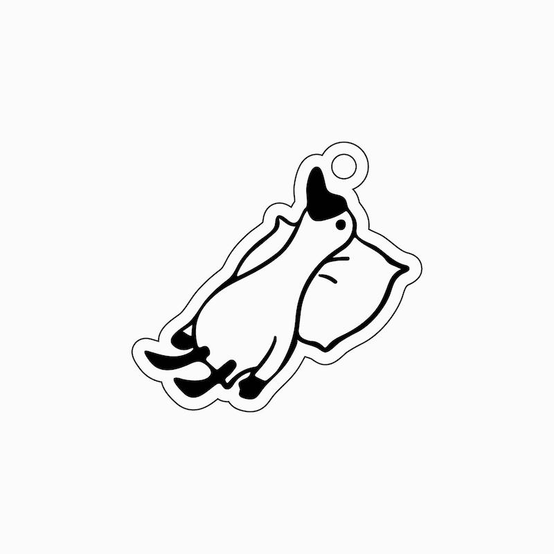 جاکلیدی اردک 13