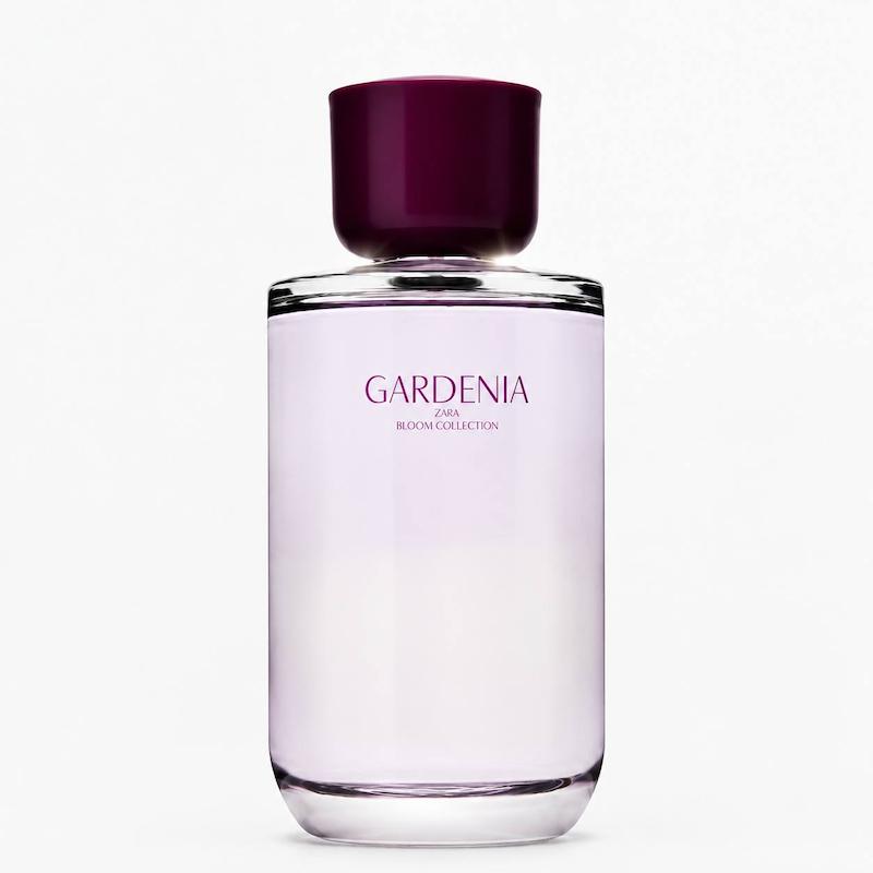 عطر زارا Gardenia ادو پرفیوم 180 میل