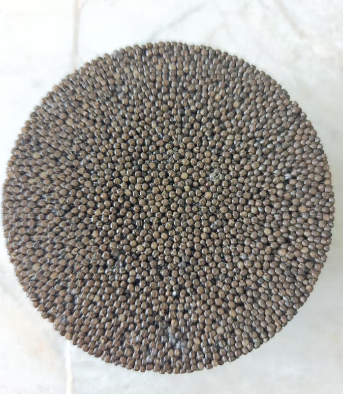 خاویار بلوگا 