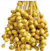 خرما خارک(مختص تهران) 