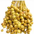 خرما خارک(مختص تهران) 