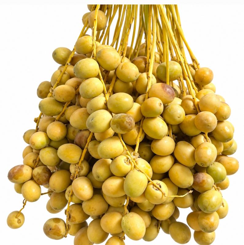 خرما خارک(مختص تهران) 