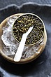 خاویار اوسترا یا آسیترا (گلد)۵۰ گرمی Royal Osetra
