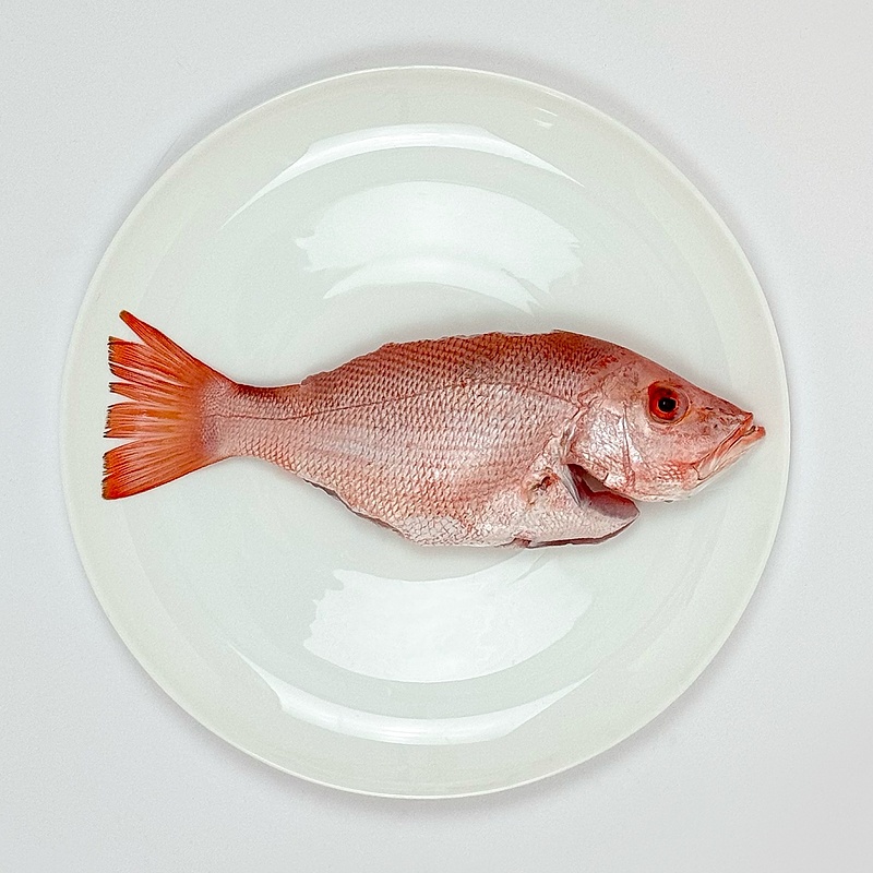 ماهی سرخو صادراتی(چمن)(درسته و شکم‌خالی)