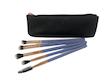 ست 5 عددی براش چشم لوکسی به همراه کیف | Luxie 5 Piece Makeup Brush Set with Pouch Case