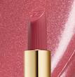 رژ لب کرمی استی لادر | Estée Lauder Pure Color Long Lasting Cream Lipstick - Bold Desire