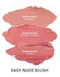 کیت رژگونه نود صورتی نودستیکس | NUDESTIX Pink Nude Blush Kit