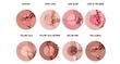 رژگونه شارلوت تیلبری‌ لاو گلو | Charlotte Tilbury Cheek to Chic Blush – Love Glow-کپی