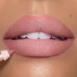 خط لب شارلوت تیلبری پیلوتاک | Charlotte Tilbury Lip Cheat – Pillow Talk Original