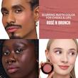 رژگونه بالم پودری دانسا مایریکس | DANESSA MYRICKS BEAUTY Yummy Skin Blurring Balm Powder Flushed