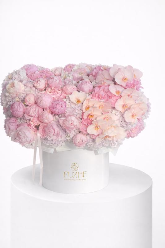 Archive of Tenderness