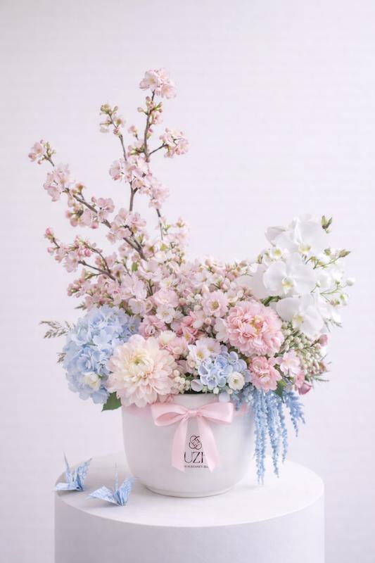 The Origami Serenity