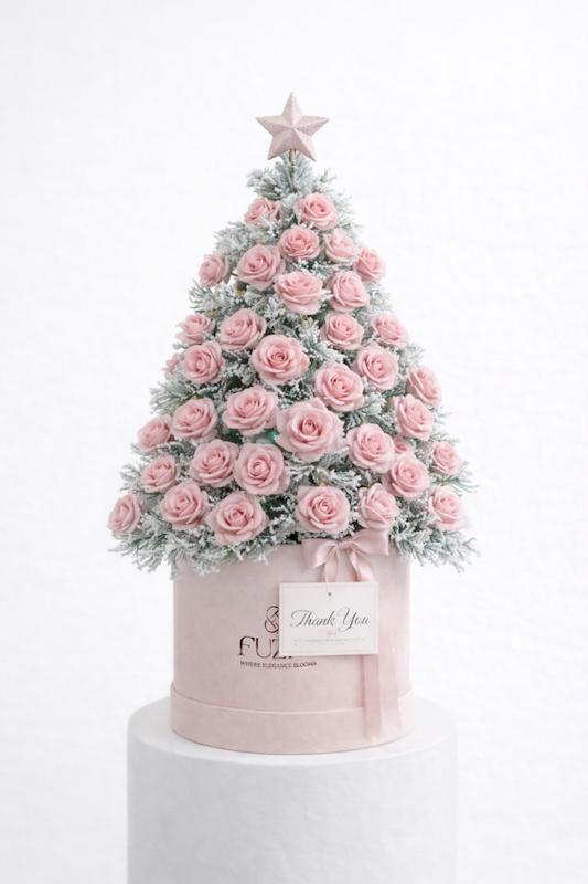 The Winter Rose Conifer