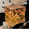 چراغ خواب مکعبی دشت لاله بی نهایت