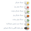 سالاد ساز 7 کاره مایر آلمان دارای رنده نگینی برای سالاد شیرازی مدل MR-1488 با 2 سال ضمانت