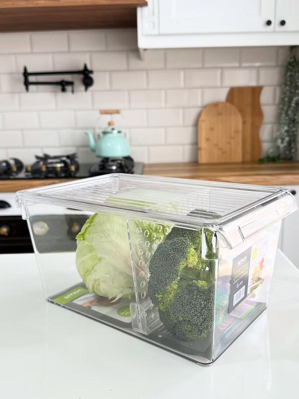 نظم دهنده یخچالی لیمون ۶لیتر