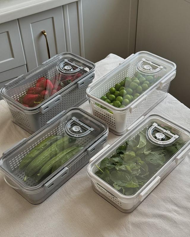 باکس یخچالی تاریخ دار لیمون