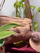 کیف پارچه‌ای روزمره آوا