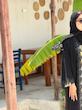 عبا مجلسی مدل دانتل پرکار کد 59