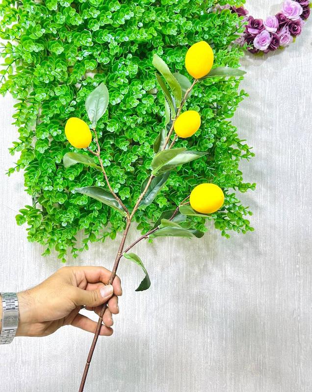 گل لیمو وارداتی