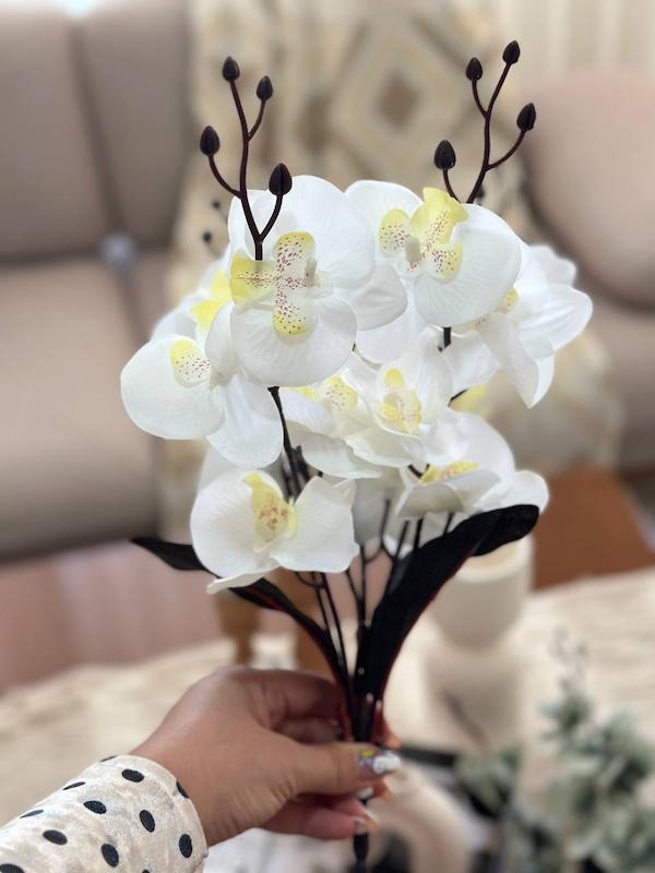 گل ارکیده 20 گل سوخته