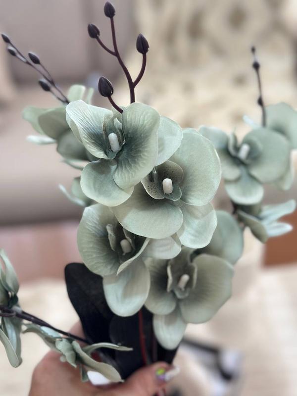 گل ارکیده 20 گل سوخته
