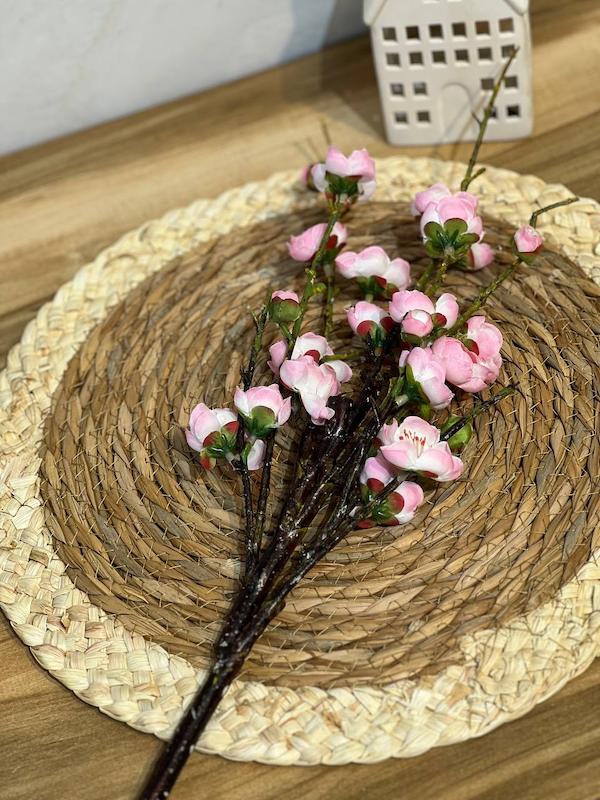 گل شکوفه ژاپنی 