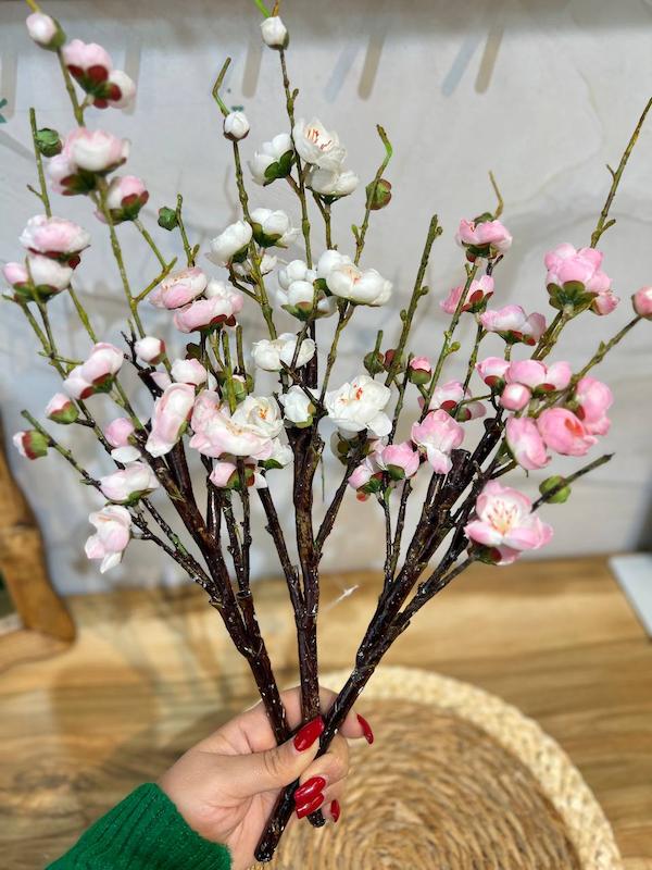 گل شکوفه ژاپنی 