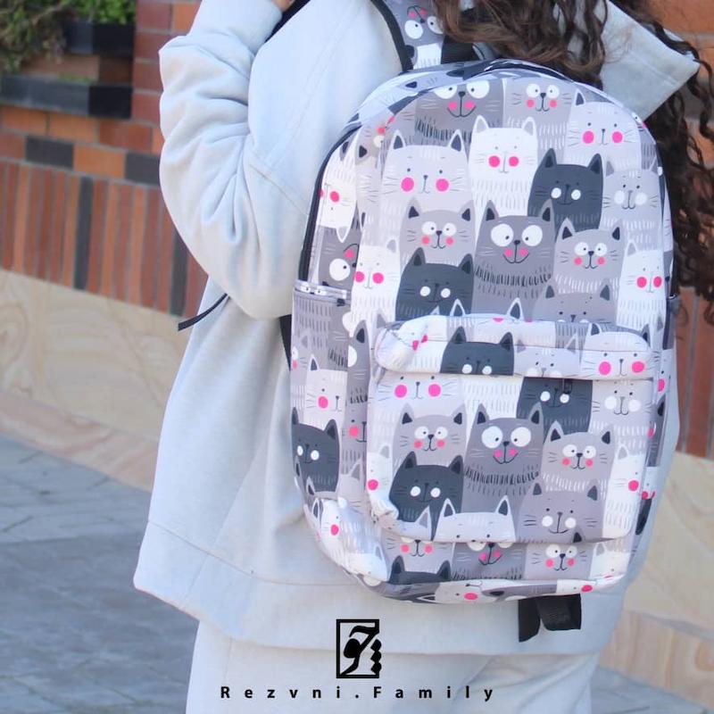 کوله پشتی گربه‌ها + جامدادی