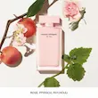 عطر نارسیسو رودریگز فور هرادوپرفیوم (Narciso Rodriguez For Her) اماراتی 100م