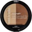 پالت کانتورینگ مگا گلو وت اند وایلد wet n wild