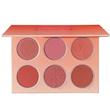 پالت رژگونه فلورال فلاش شیگلم Sheglam Floral Flush Blush Palette