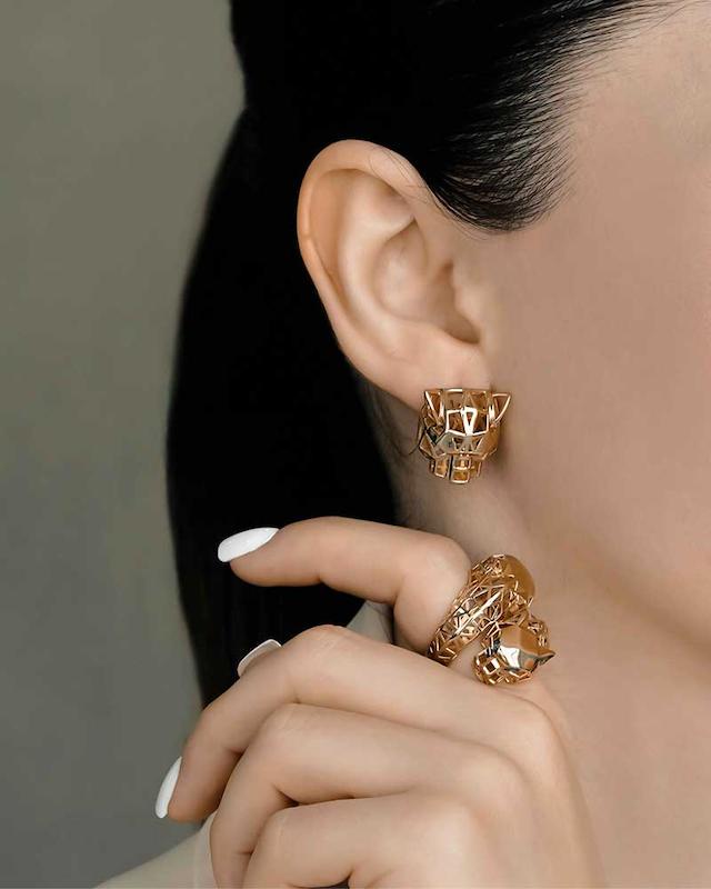 ست پنتر دو سر