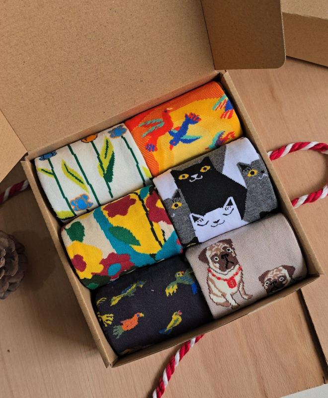 پک هدیه پناه 