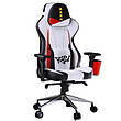 صندلی کامپیوتر Cooler Master Caliber X2 SF6 + Cup Holder Chair