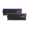 BIWIN DW100, BIWIN Black Opal, رم BIWIN, رم DDR5, رم DDR5 6000, رم 48 گیگابایت, رم گیمینگ RGB, رم CL28, حافظه گیمینگ, AMD EXPO, Intel XMP 3.0, Gaming RAM