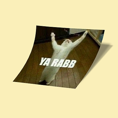 استیکر Meme-گربه Ya Rabb گو