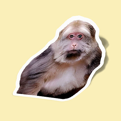 استیکر میمون