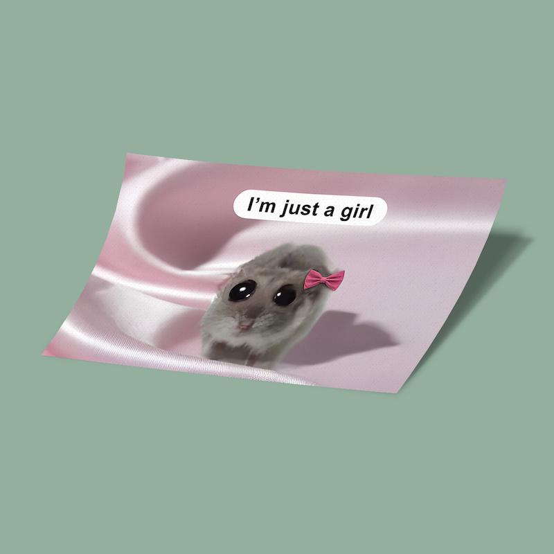 کارت استیکر IM JUST A GIRL