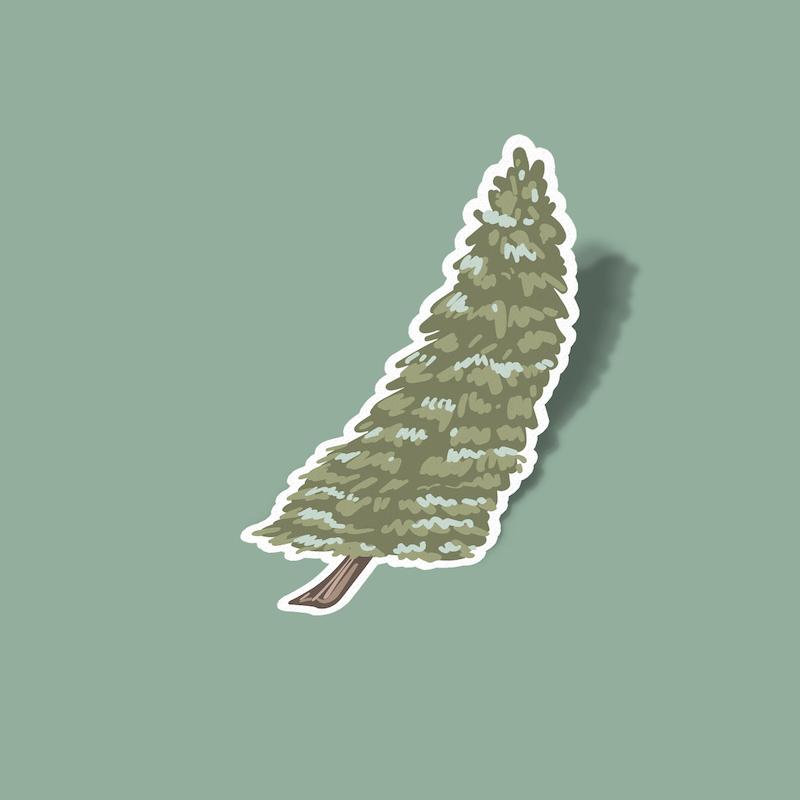 استیکر درخت کاج صنوبر