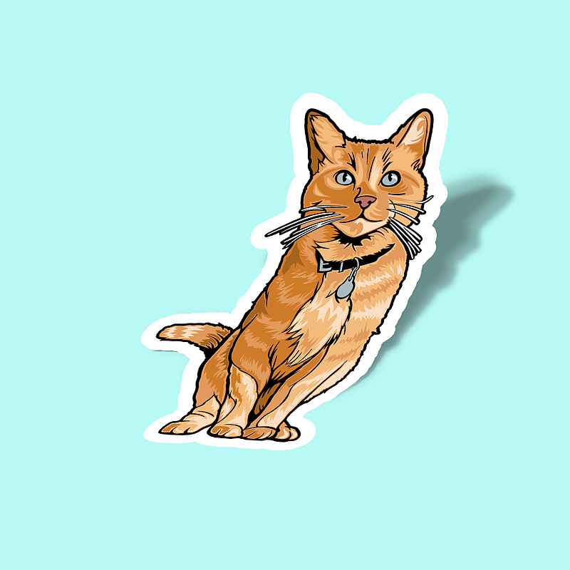 استیکر Somali cat