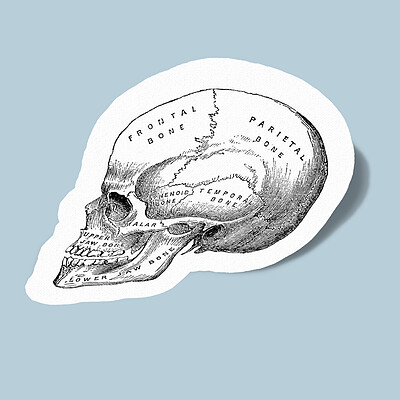 استیکر skull2